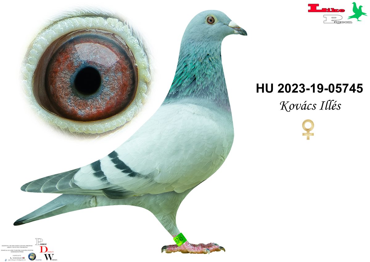 HU-2023-19-05745 Kovács Illés