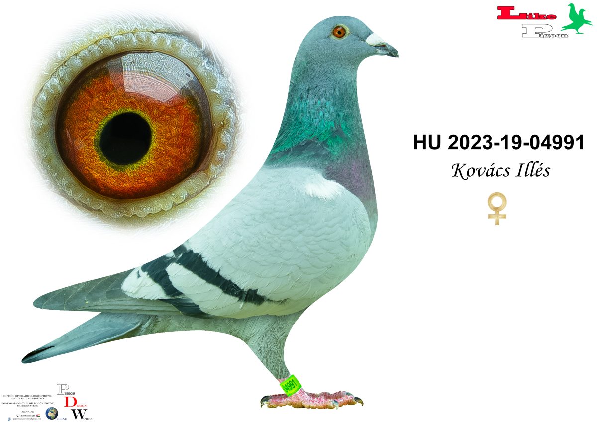 HU-2023-19-04991 Kovács Illés