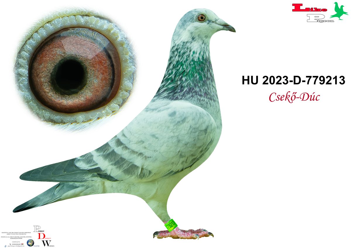 HU-2023-D-779213 Csekő - Dúc