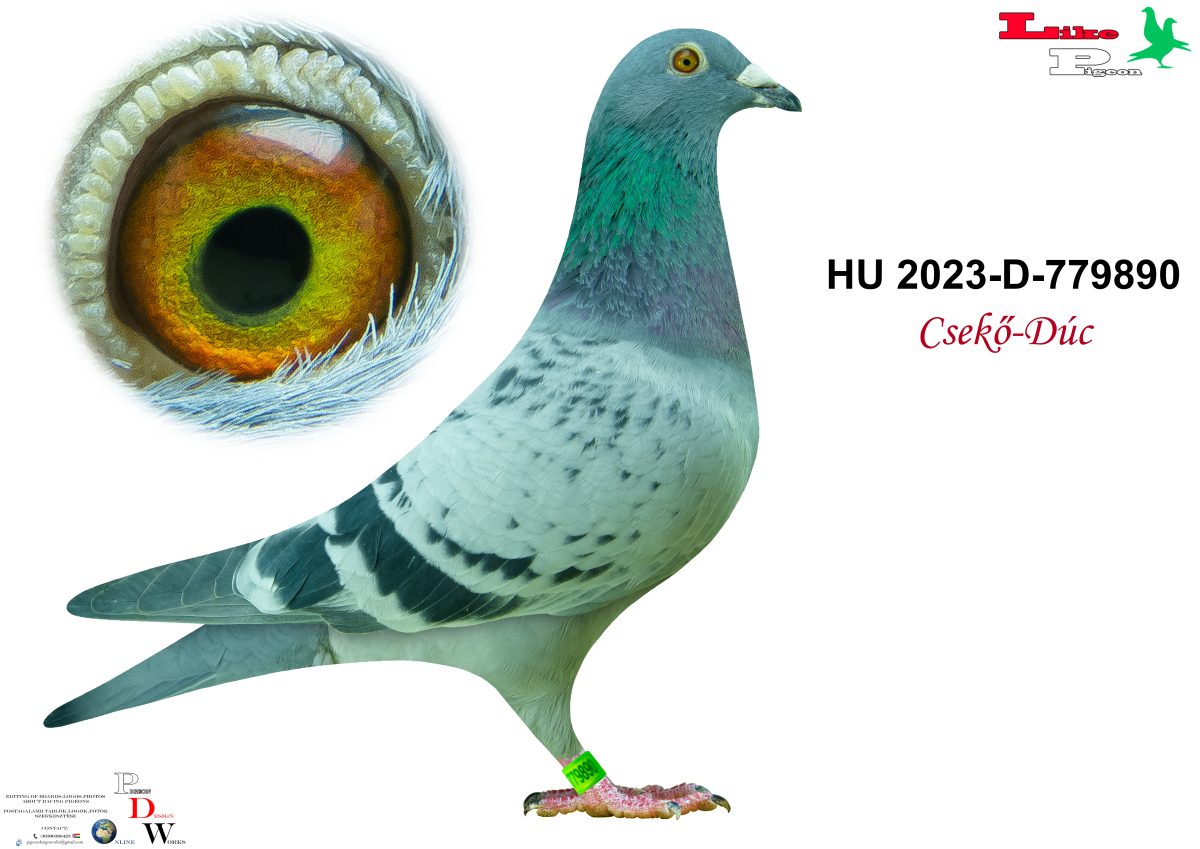HU-2023-D-779890 Csekő - Dúc