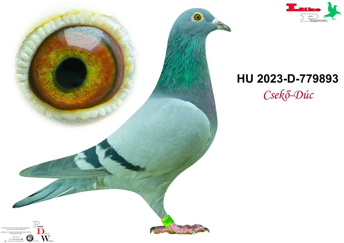 HU-2023-D-779893 Csekő - Dúc