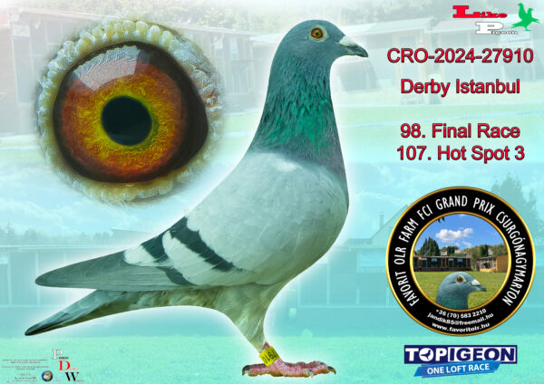 CRO-2024-27910 Derby Istanbul