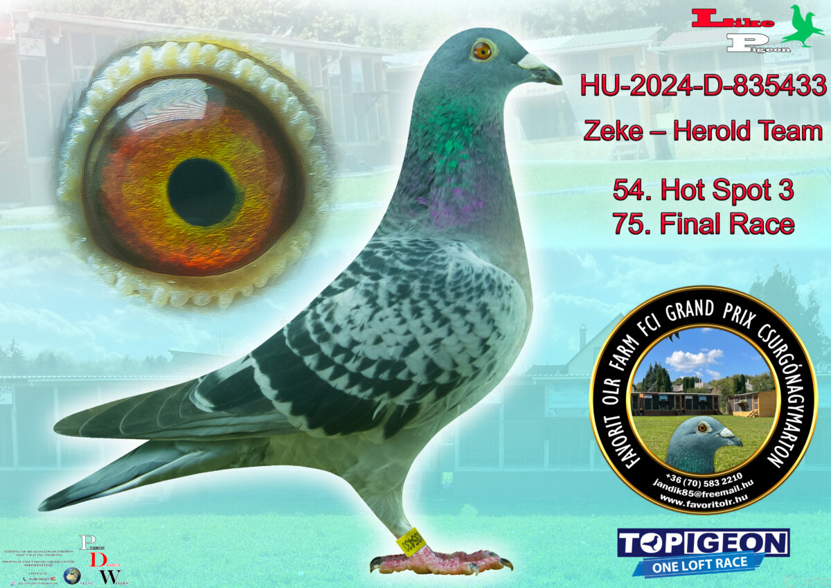 HU-2024-D-835433 Zeke - Herold Team