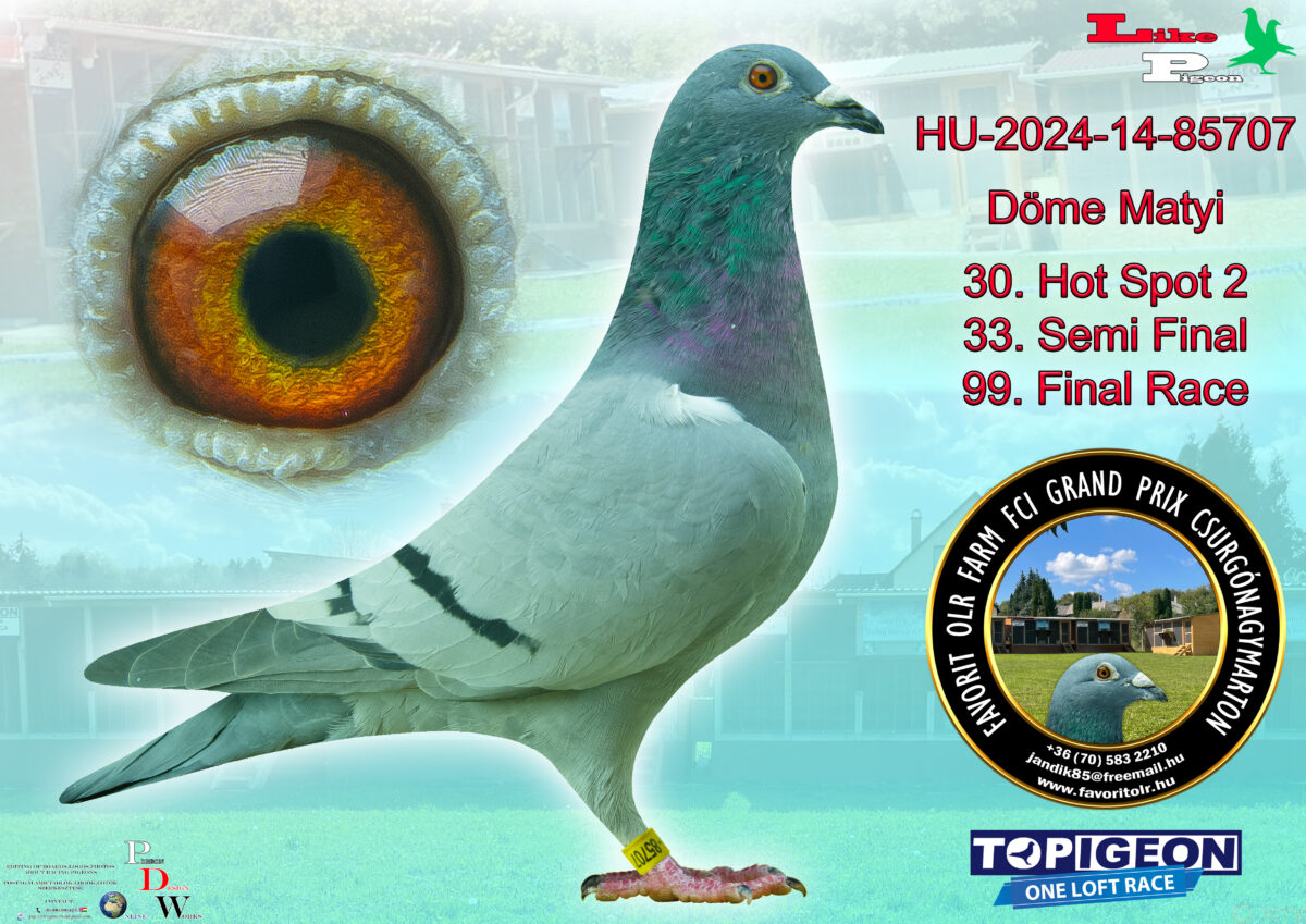 HU-2024-14-85707 Döme Matyi