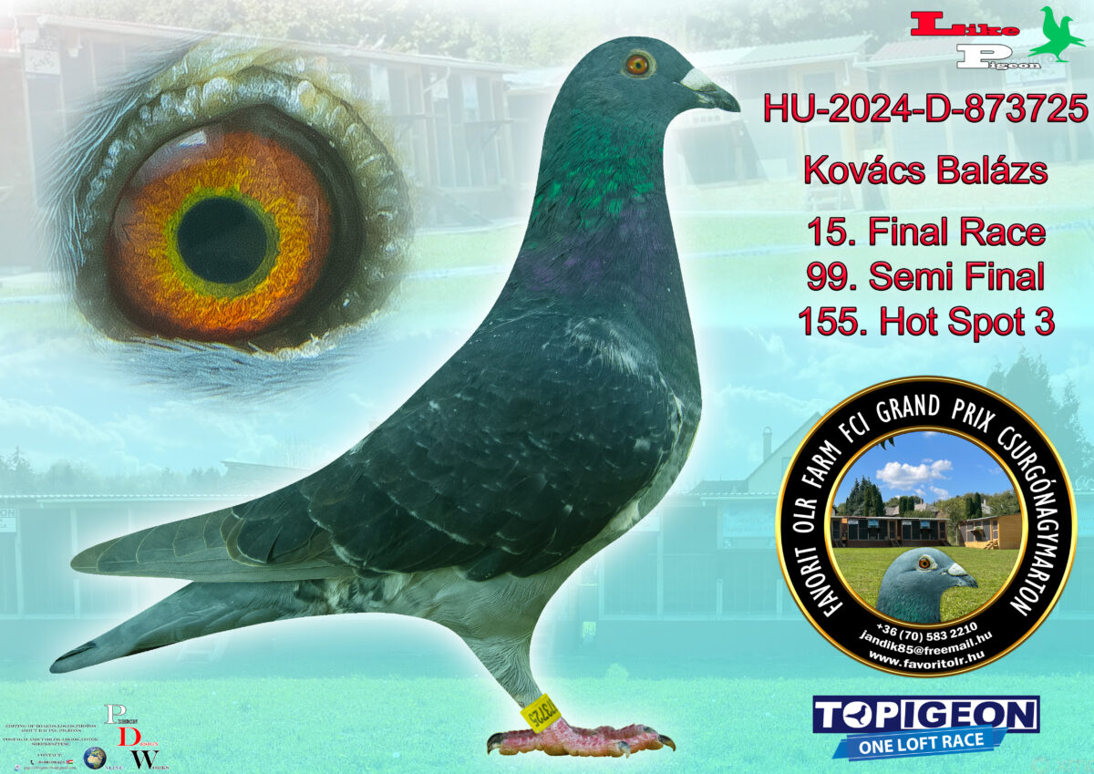 HU-2024-D-873725 Kovács Balázs