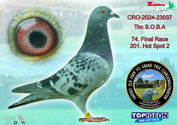 CRO-2024-23037 Team S.O.B.A