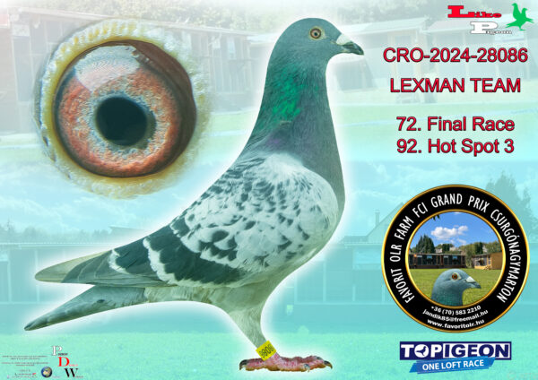 CRO-2024-28068 LEXMAN TEAM