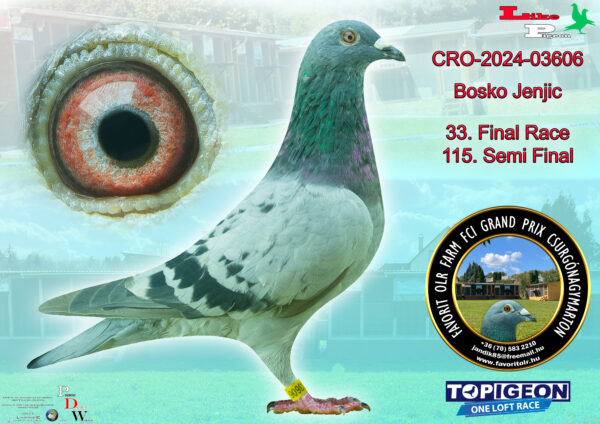 CRO-2024-03606 BOSKO JENJIC