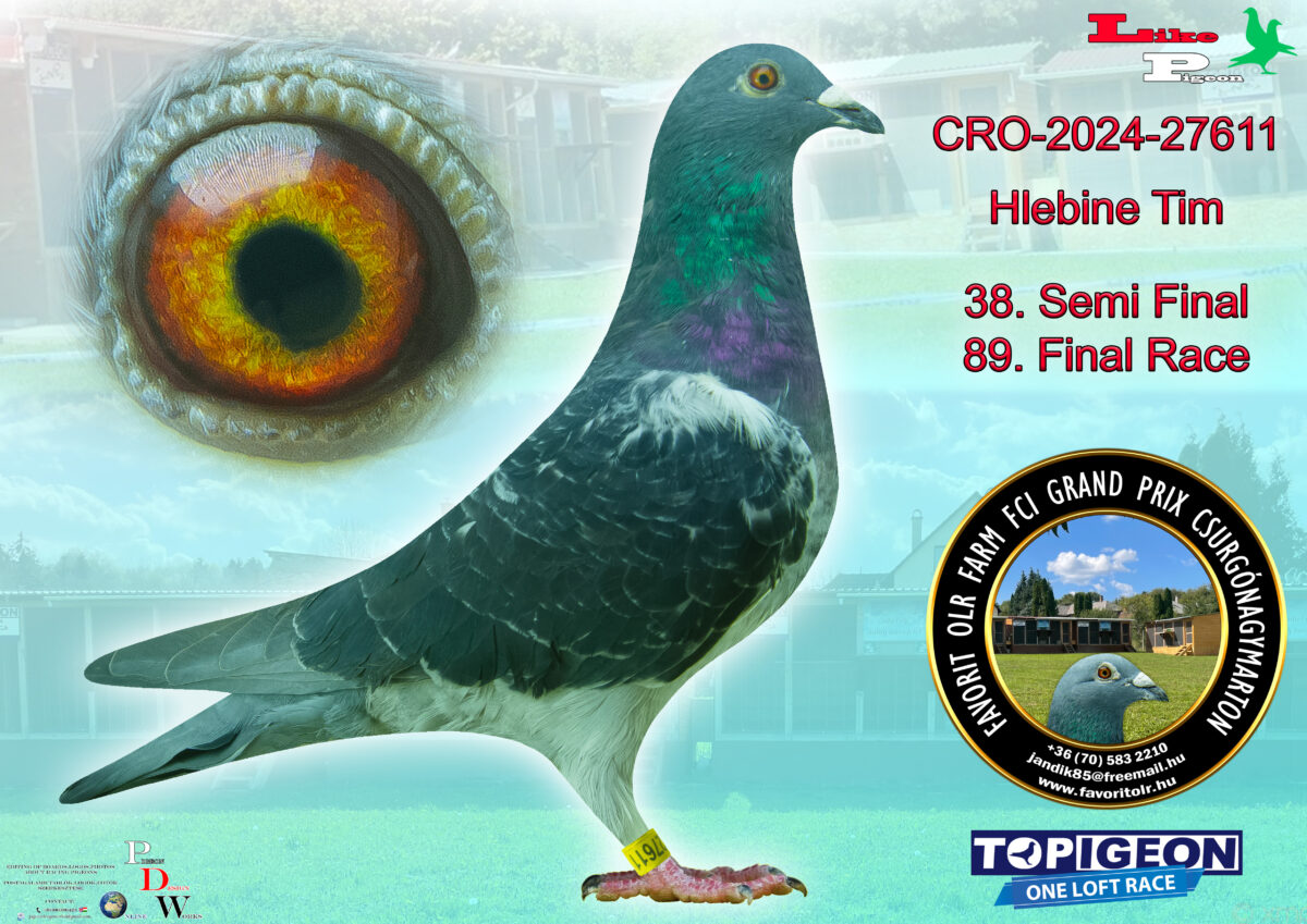CRO-2024-27611 Hlebine Tim