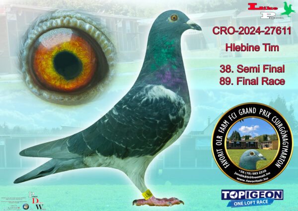 CRO-2024-27611 Hlebine Tim