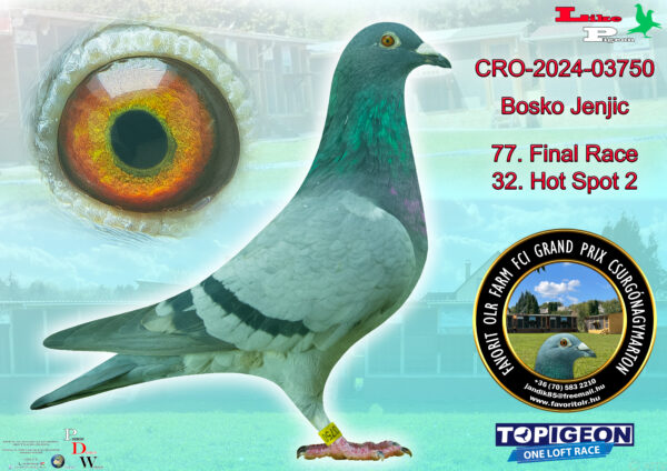 CRo-2024-03750 Bosko Jenjic