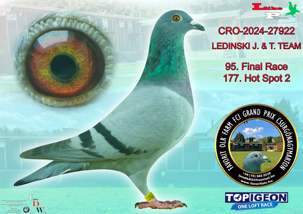 CRO-2024-27922 Ledinski J. & T. Team