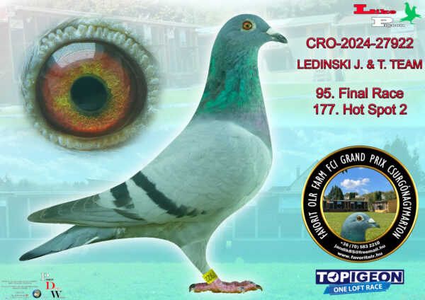 CRO-2024-27922 Ledinski J. & T. Team