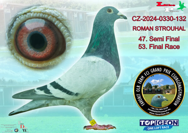 CZ-2024-0330-132 ROMAN STROUHAL