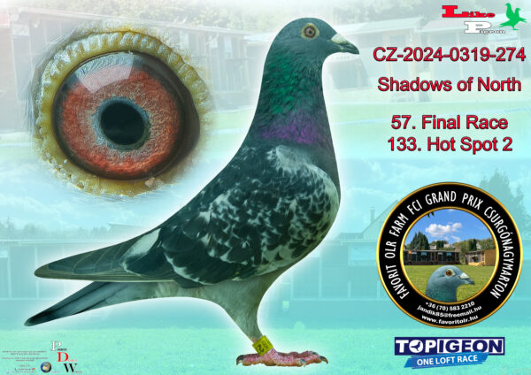 CZ-2024-0319-274 Shadows of North