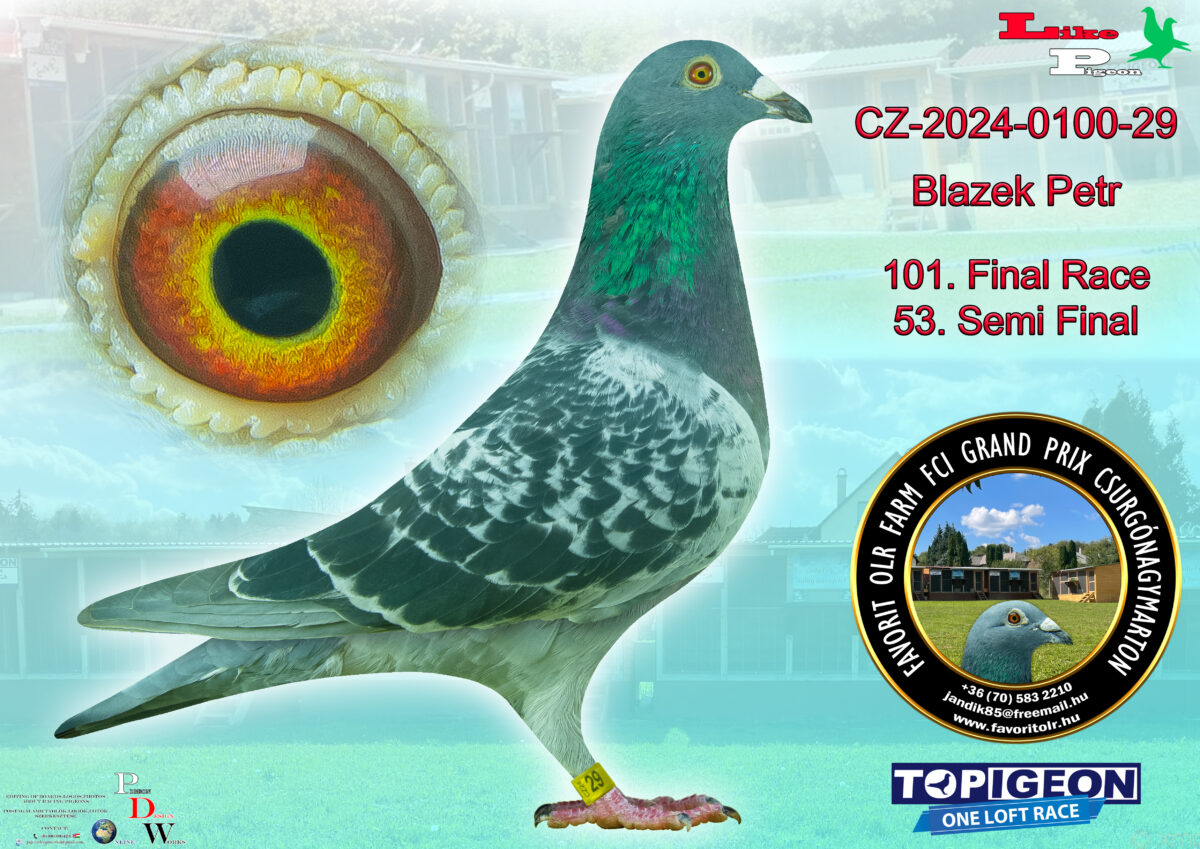 CZ-2024-0100-29 Blazek Petr