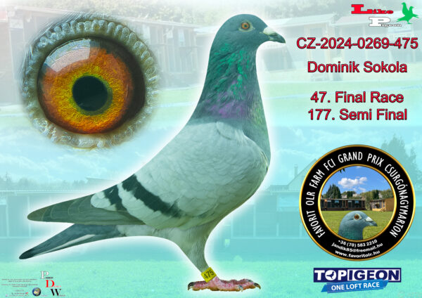 CZ-2024-0269-475 Dominik Sokola