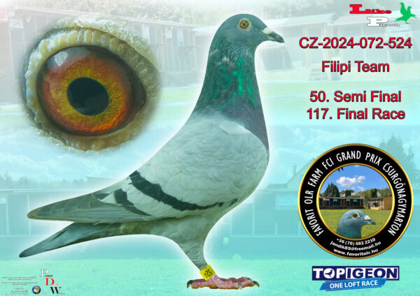 CZ-2024-072-524 Filipi Team