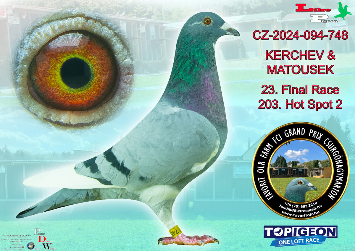 CZ-2024-094-748 KERCHEV & MATOUSEK