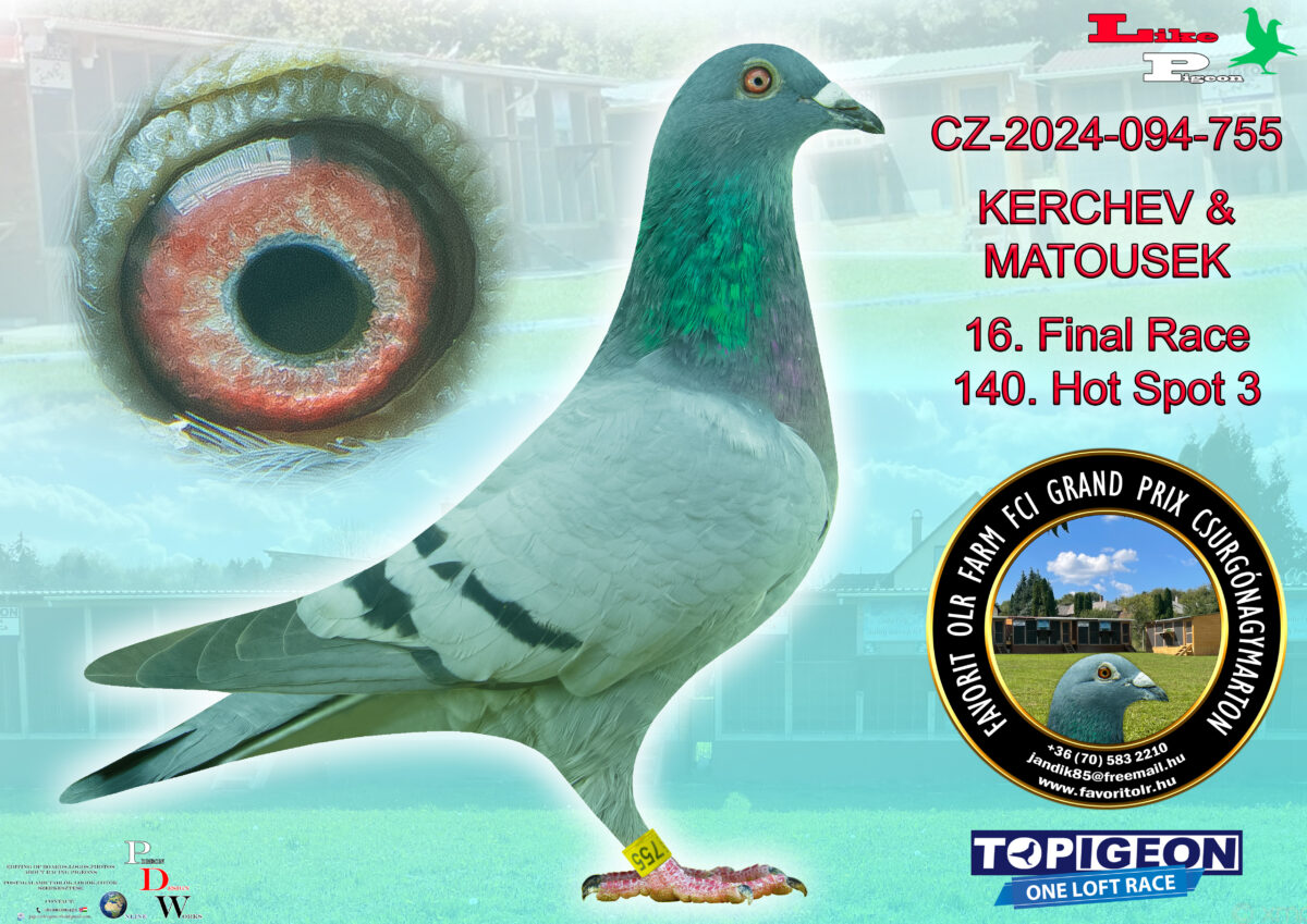 CZ-2024-094-755 KERCHEV & MATOUSEK
