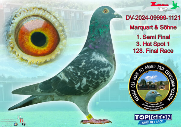 DV-2024-09999-1121 Marquart & Söhne