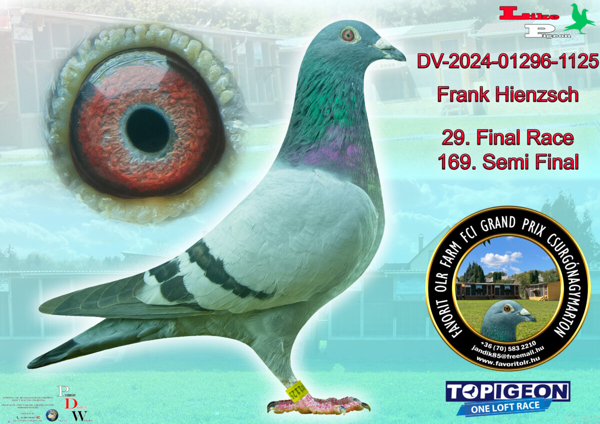 DV-2024-01296-1125 Frank Hienzsch