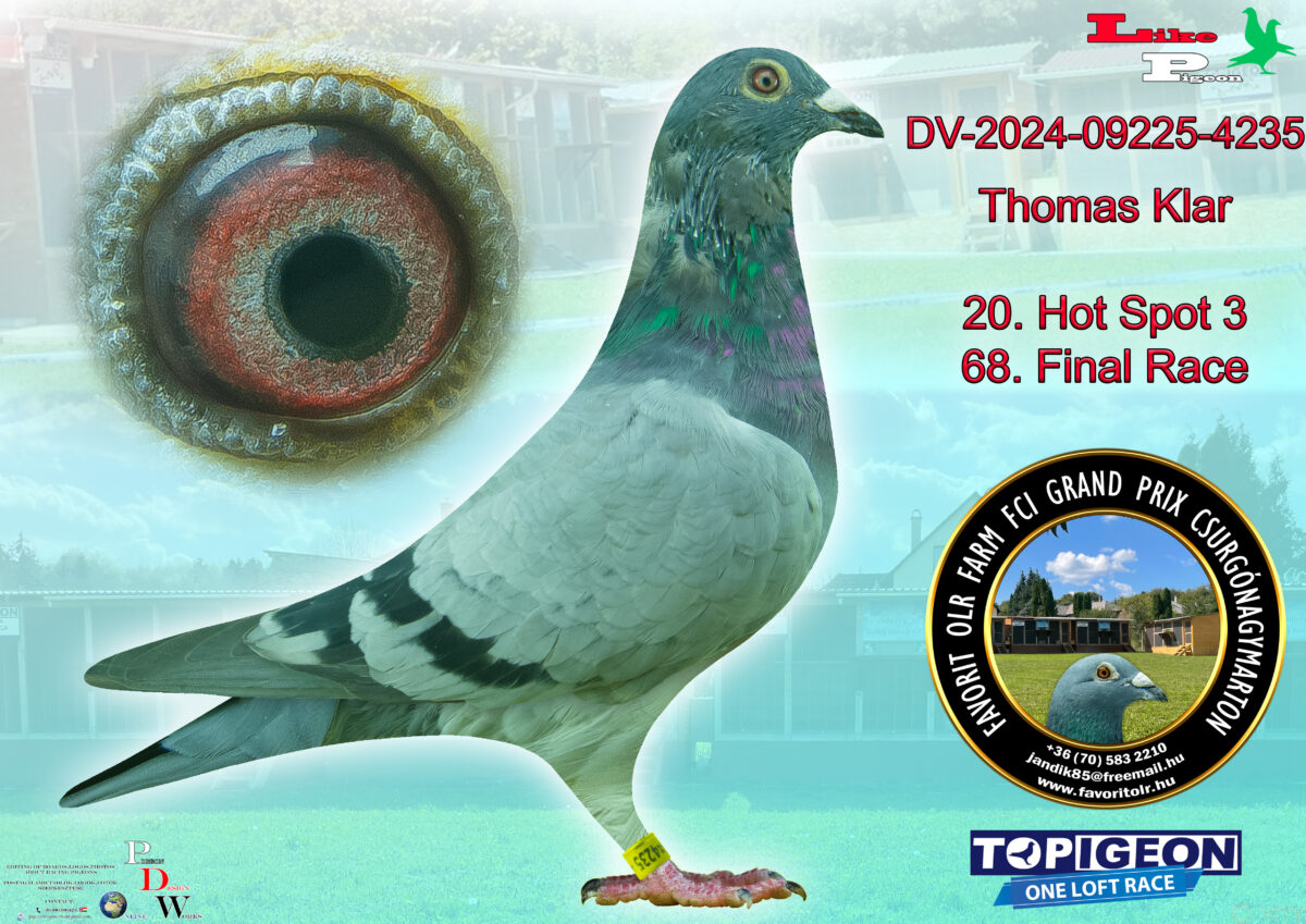 DV-2024-09225-4235 Thomas Klar