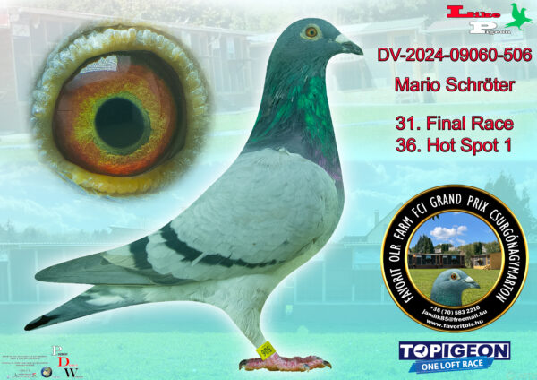 DV-2024-09060-506 Mario Schröter