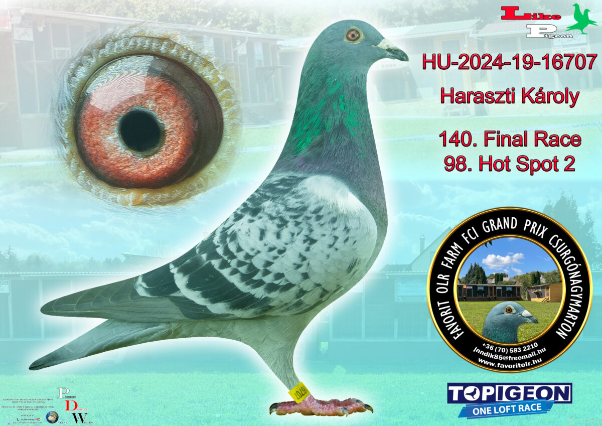 HU-2024-19-16707 Haraszti Károly