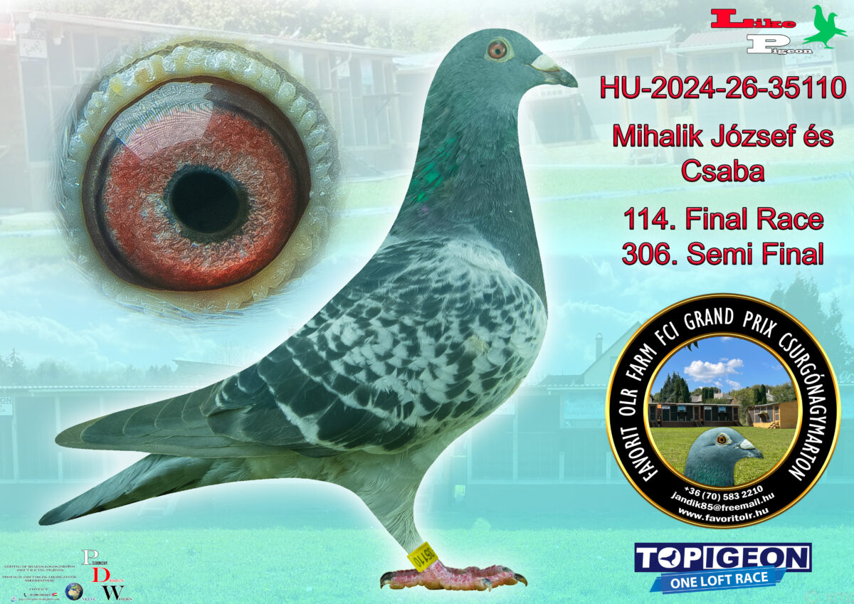 HU-2024-26-35110  Mihalik József és fiai