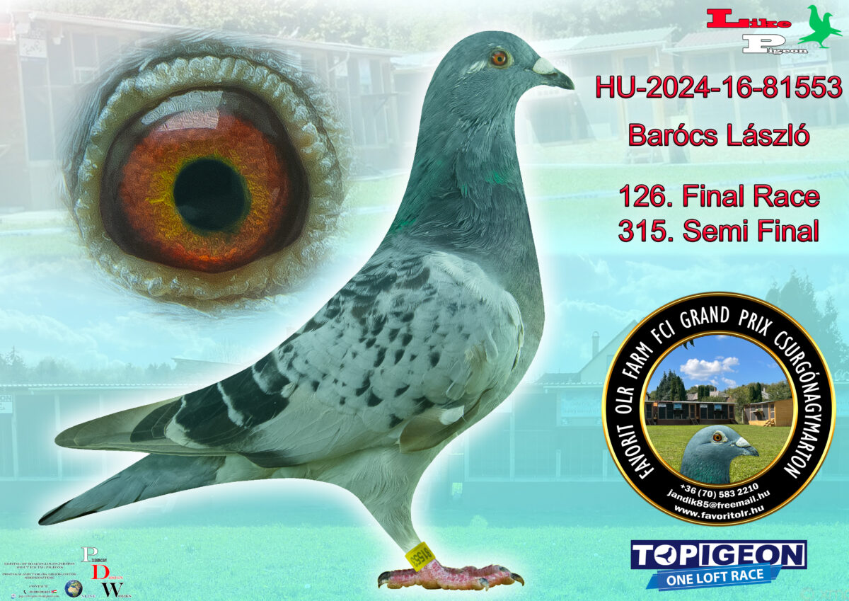 HU-2024-16-81553 Barócs László