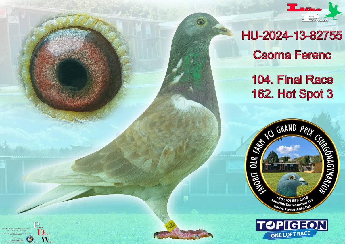 HU-2024-13-82755 Csorna Ferenc