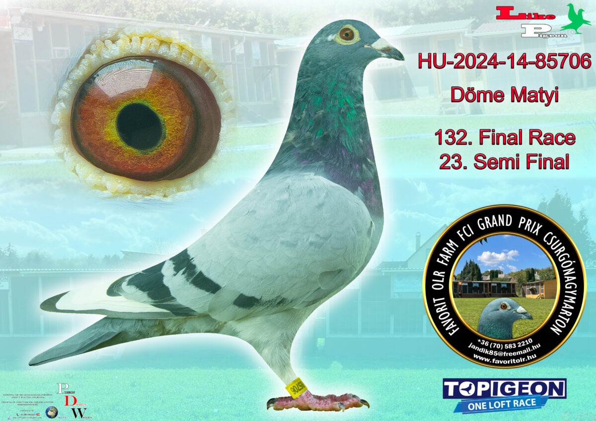 HU-2024-14-85706 Döme Matyi