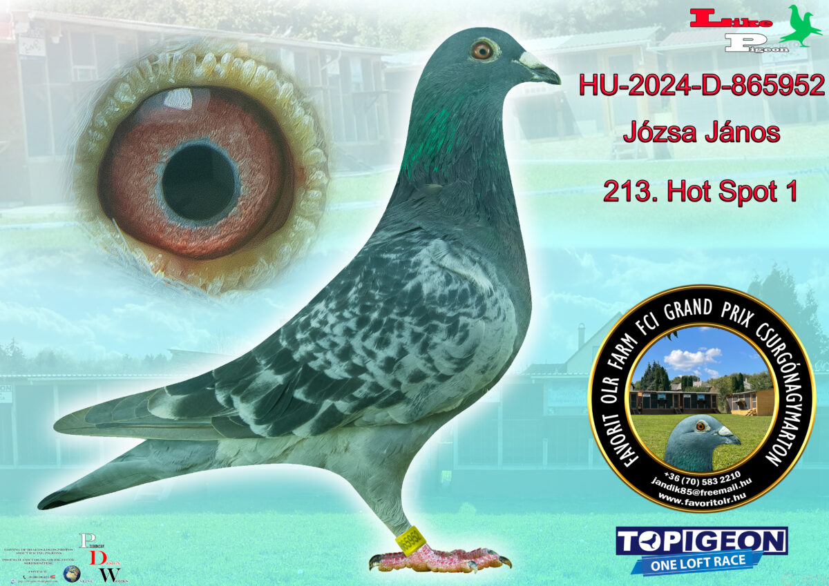 HU-2024-D-865952 Józsa János