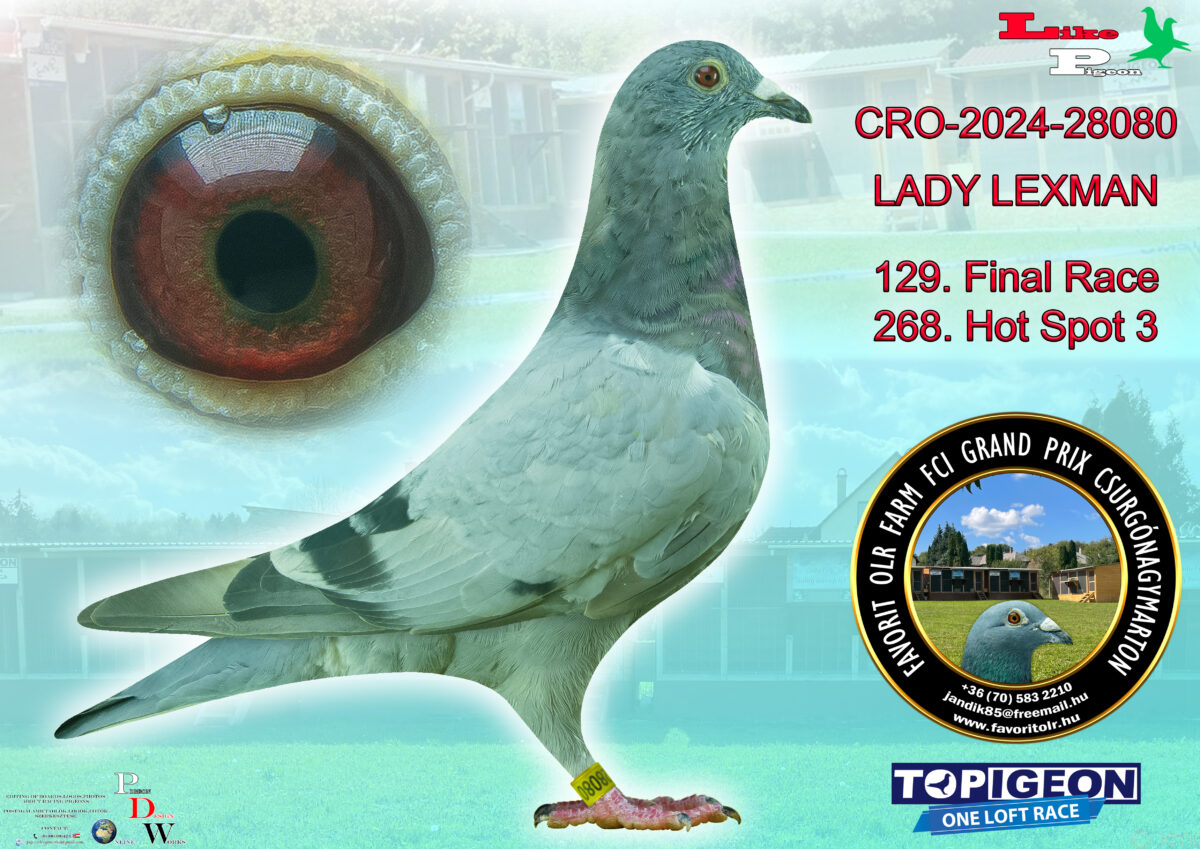 CRO-2024-28080 LADY LEXMAN