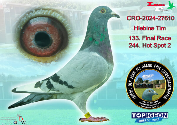 CRO-2024-27610 Hlebine Tim