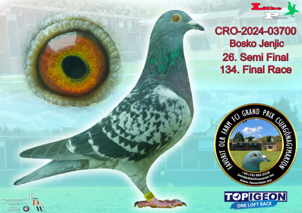 CRO-2024-03700 Bosko Jenjic
