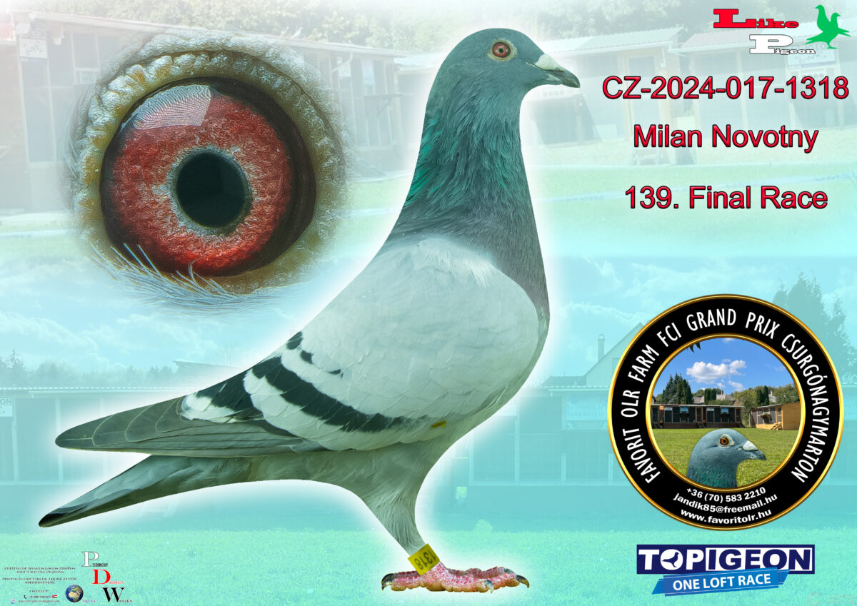 CZ-2024-017-1318 Milan Novotny