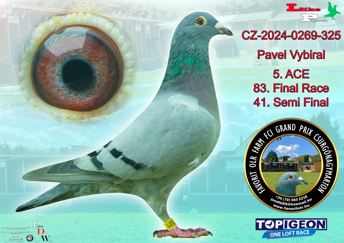 CZ-2024-0269-325 Pavel Vybiral 5. ACE