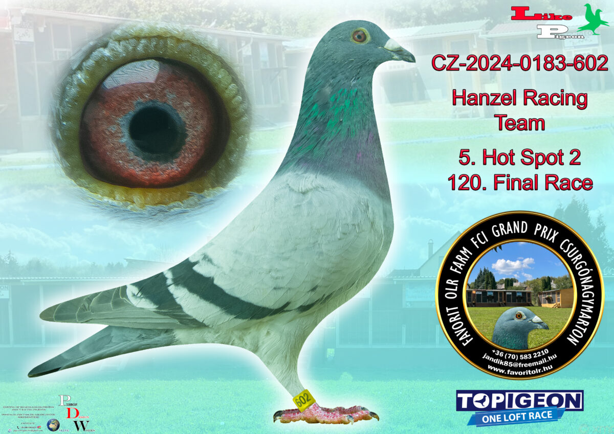 CZ-2024-0183-602 Hanzel Racing Team