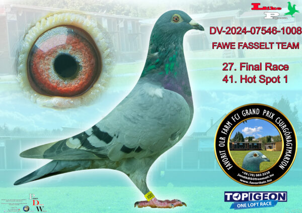 DV-2024-07546-1008  FAWE FASSELT TEAM