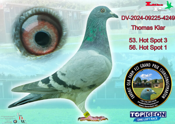 DV-2024-09225-4249 Thomas Klar