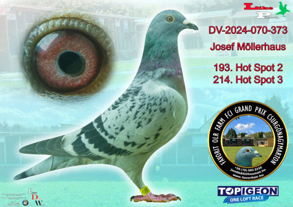 DV-2024-0070-373 Josef Möllerhaus