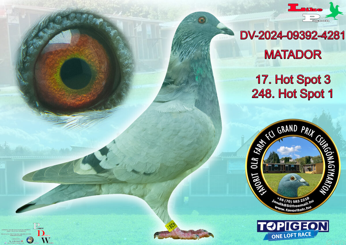 DV-2024-09392-4281 MATADOR