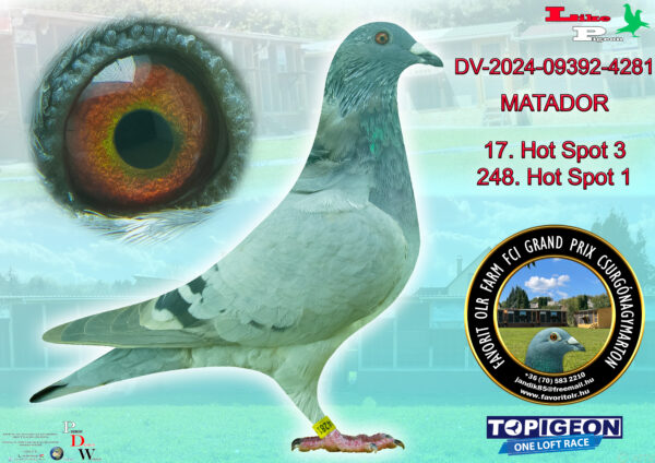 DV-2024-09392-4281 MATADOR