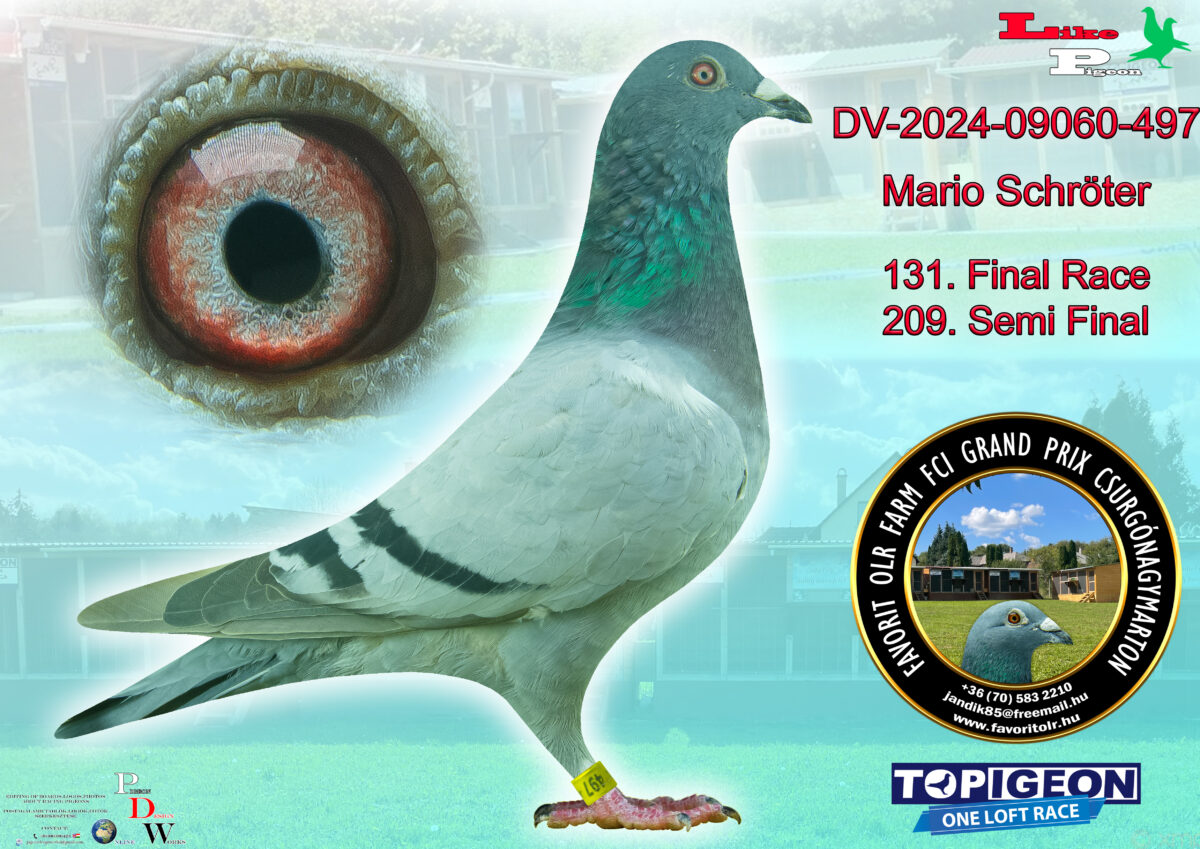 DV-2024-09060-497 Mario Schröter