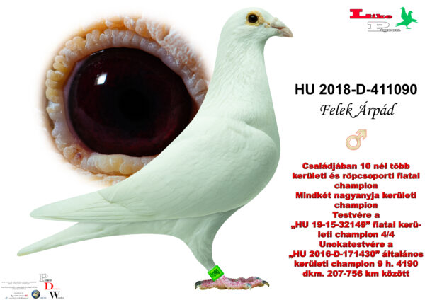 HU-2018-D-411090 H Felek Árpád