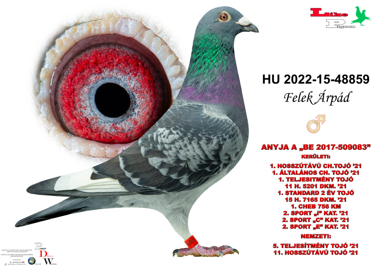 HU-2022-15-48859 H Felek Árpád