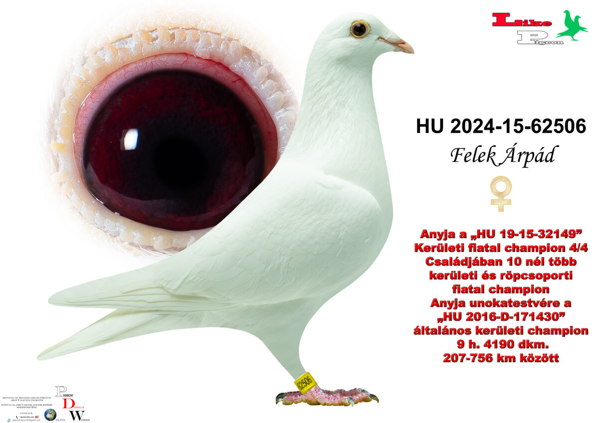 HU-2024-15-62506 T Felek Árpád