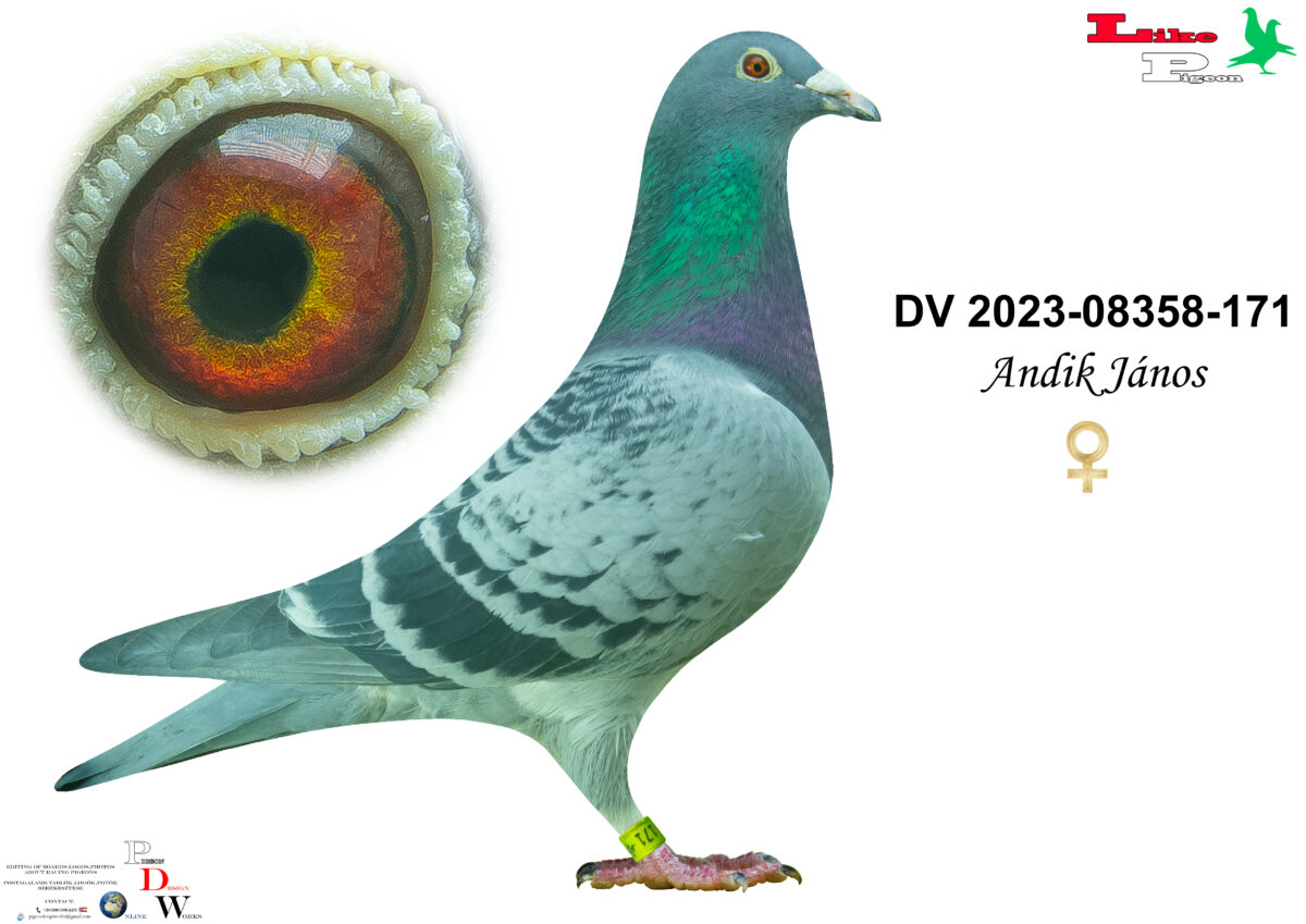 DV-2023-08358-171 T Andik János